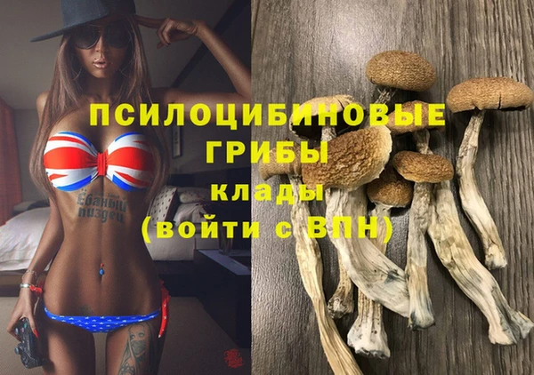 МДПВ Беломорск