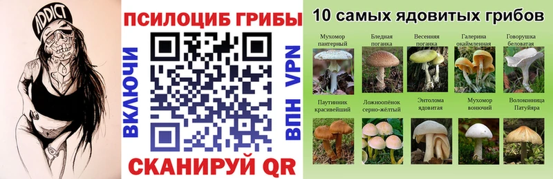 Псилоцибиновые грибы Cubensis  Костерёво 